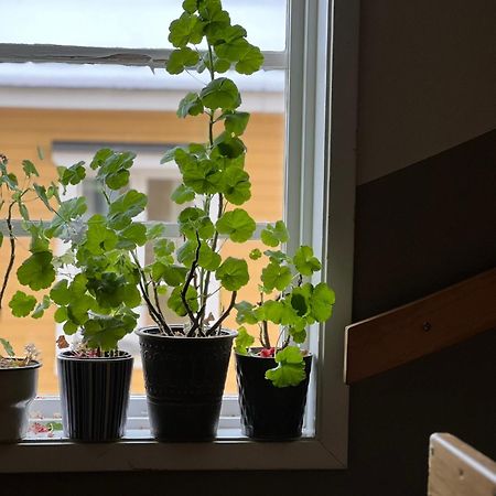 Central Laegenhet Norrtälje Eksteriør bilde